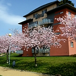 20180412 132011