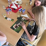 IMG 20190617 102309