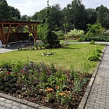 IMG 20190617 103706