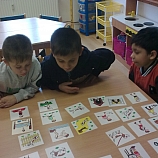 Obraz9521