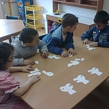 Obraz9539