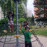 Obraz10959