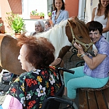 Terapie s poníkem  19