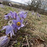 Výlety 2016  2