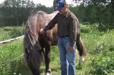 Příběhy našich klientů: Harmonický život na farmě (video)