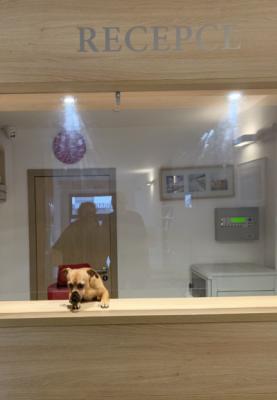 Hotel Harfa poskytoval zázemí lidem bez domova v kovidové době