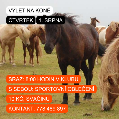 VÝLET NA KONĚ