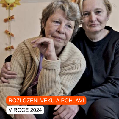 Lidé bez domova v našich službách v roce 2024