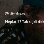 Zajímá vás problematika bezdomovectví?