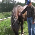 Příběhy našich klientů: Harmonický život na farmě (video)