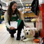 Lidé znovu prokázali štědrost ve Sbírce potravin