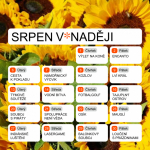 PROGRAM SRPEN
