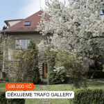 Krásný výsledek charitativní výstavy v Trafo Gallery